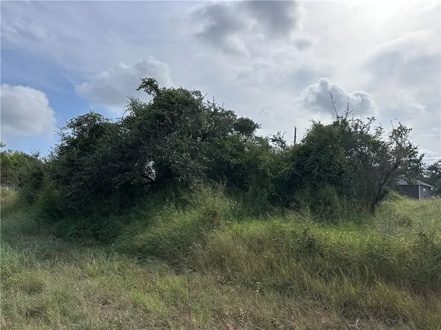 159 Dolphin Drive, Rockport, TX 78382 - #3