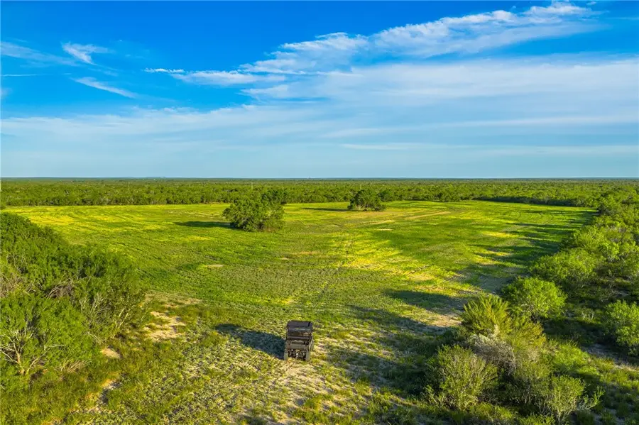 2750 Fm 624, Tilden, TX 78072 - #2