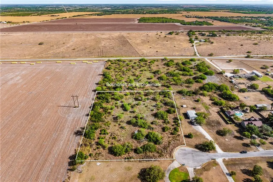 0 County Road 312, Orange Grove, TX 78372 - #3
