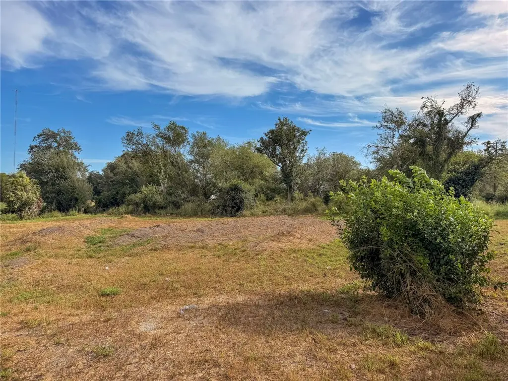 806 Pecos Street, George West, TX 78022 - #1