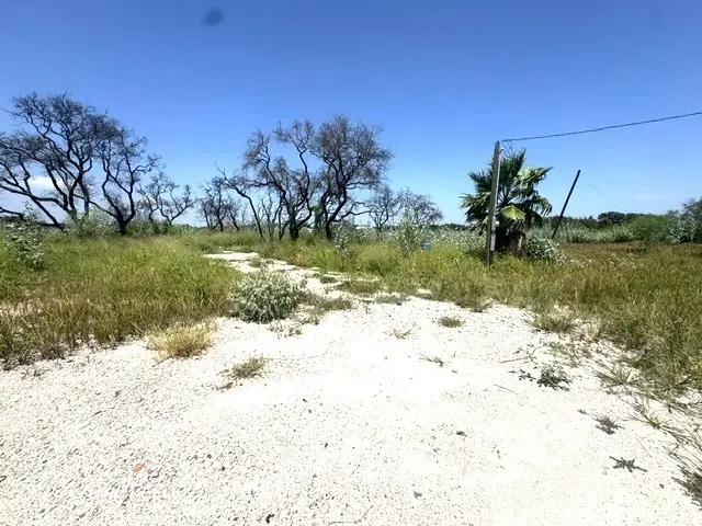 2342 Smith Road, Aransas Pass, TX 78336 - #2