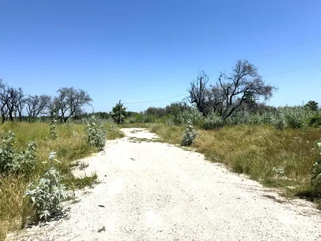 2342 Smith Road, Aransas Pass, TX 78336 - #3