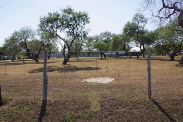 779 S County Road 1145, Riviera, TX 78379 - #2