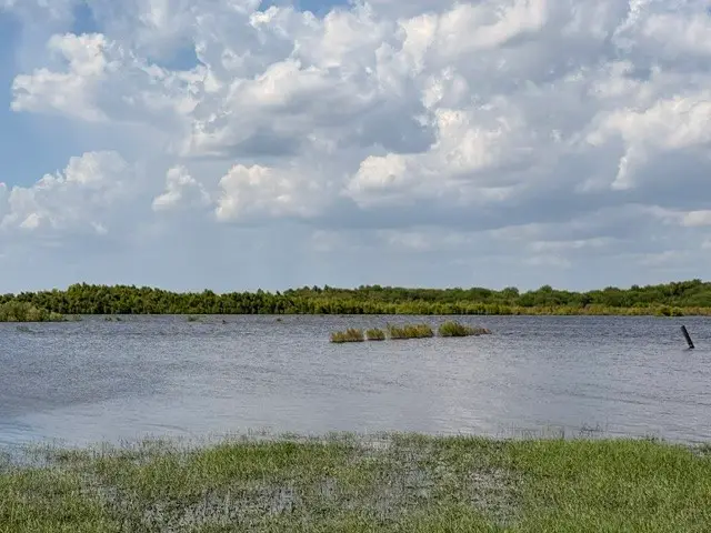 343 Stephens, Mathis, TX 78368 - #3