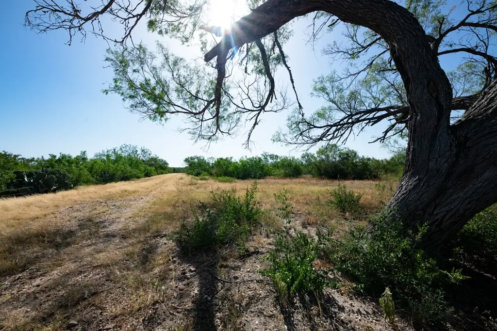 242 Cinco Millas Road, Tilden, TX 78072 - #1