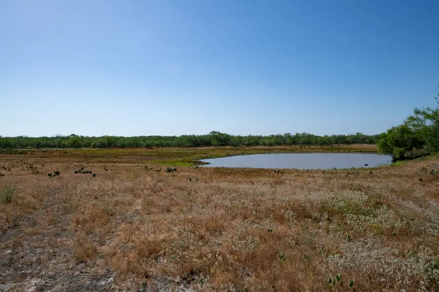 242 Cinco Millas Road, Tilden, TX 78072 - #3