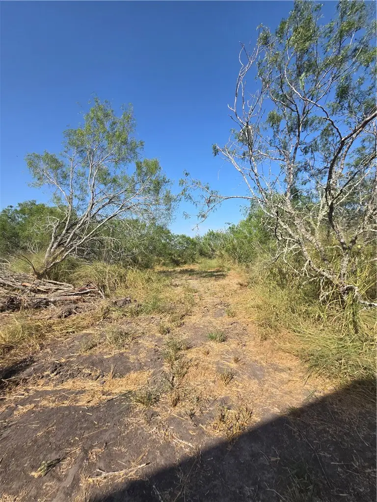 21912 County Road 798, Mathis, TX 78368 - #2