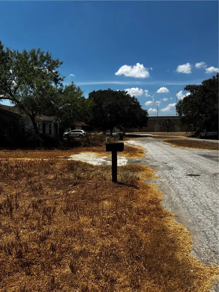 104 E Magnolia, Falfurrias, TX 78355 - #3