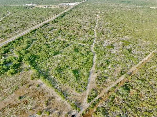 0 Us Hwy 59, Freer, TX 78357