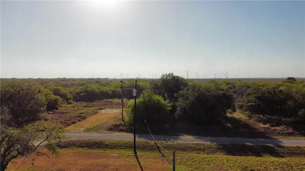 7239 County Road 2045, Odem, TX 78370