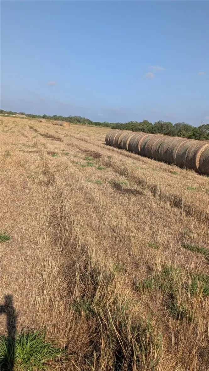 0000 Mcmasers Road, Alice, TX 78332 - #3