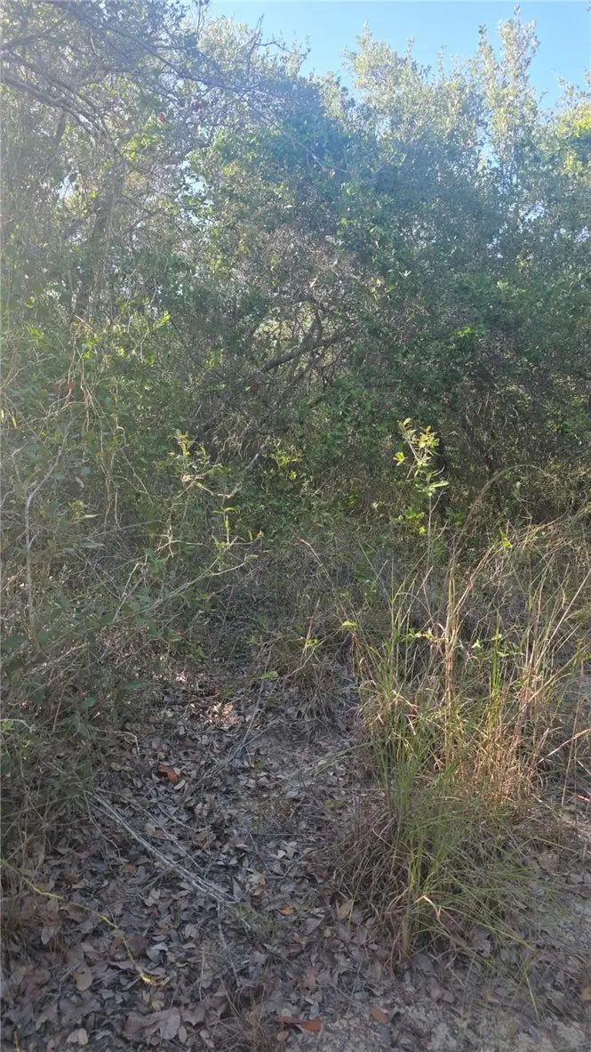 000 4th, Ingleside, TX 78362 - #1