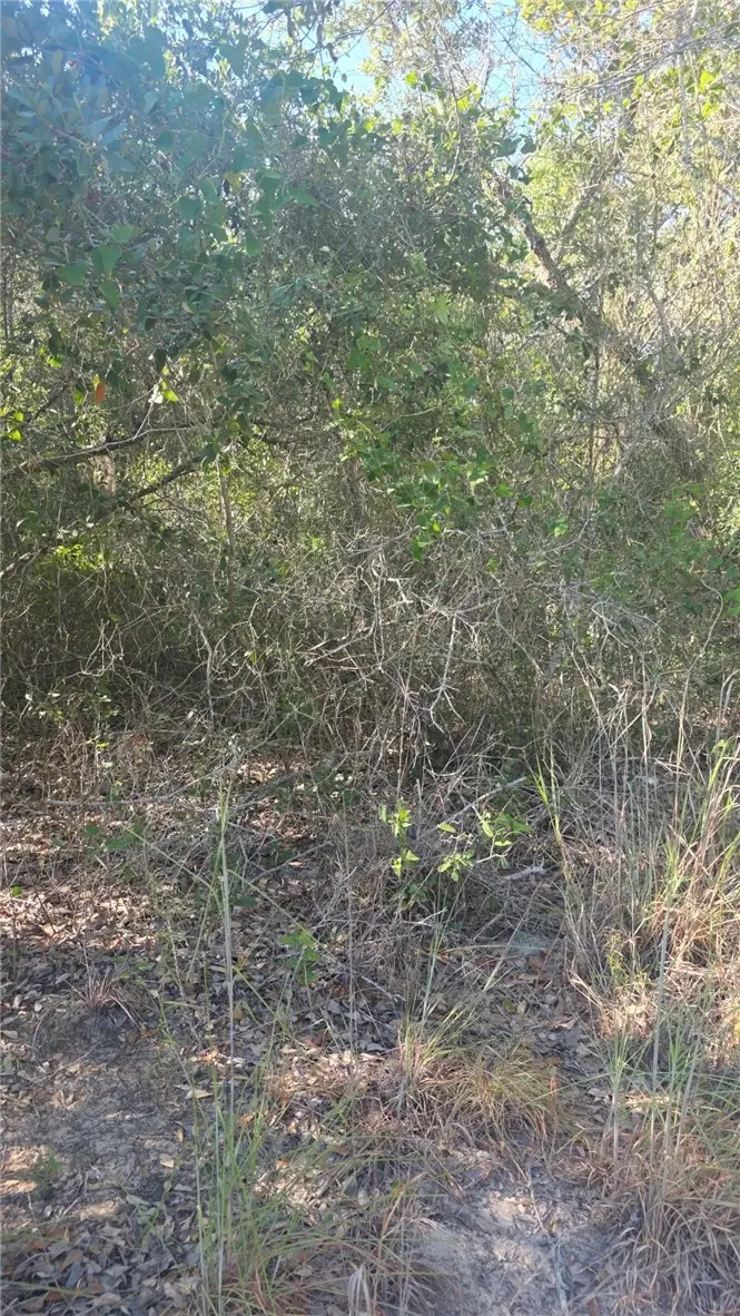 000 4th, Ingleside, TX 78362 - #2