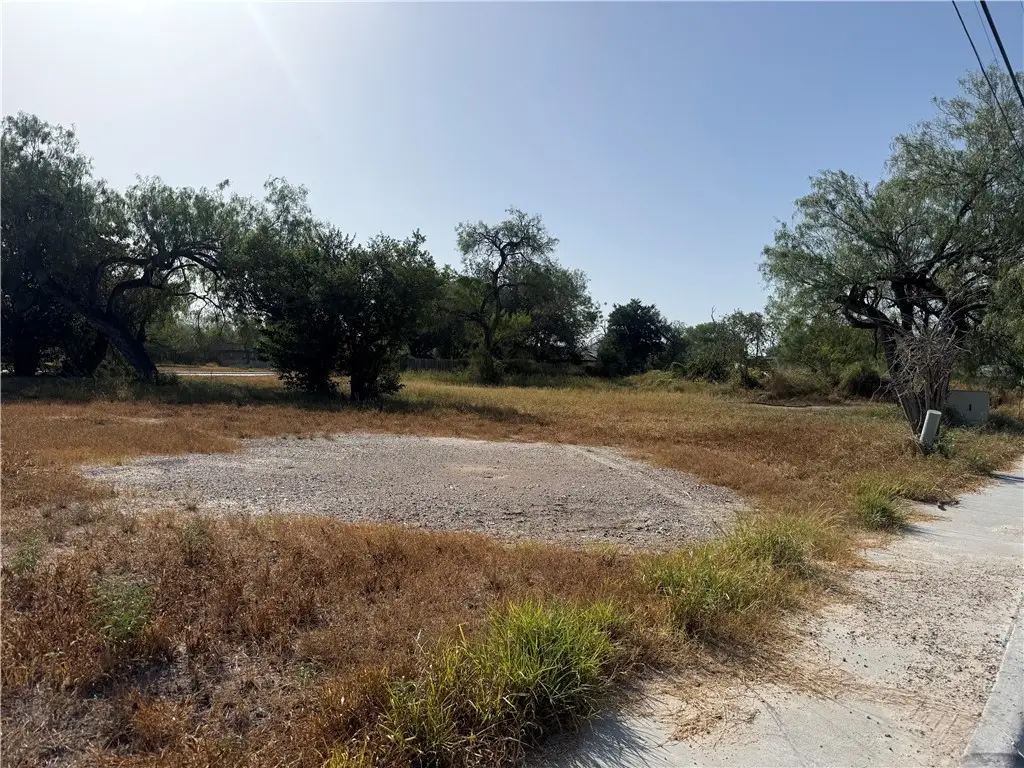 1614 S Reynolds Street, Alice, TX 78332 - #1