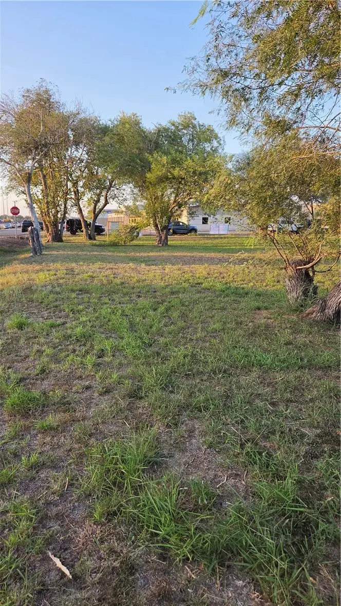TBD Main, Skidmore, TX 78389 - #3
