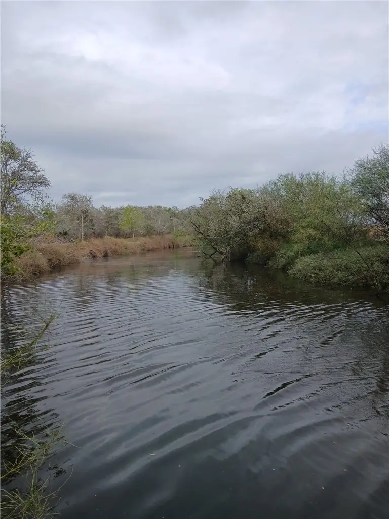 121 Whitetail, Woodsboro, TX 78393 - #2