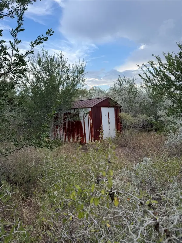 01 Cr 147, George West, TX 78022