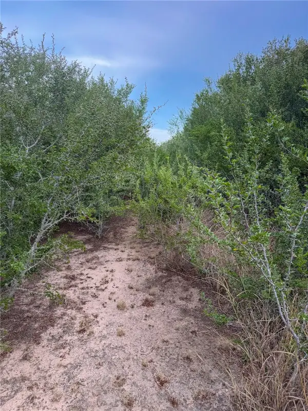 03 Cr 147, George West, TX 78022