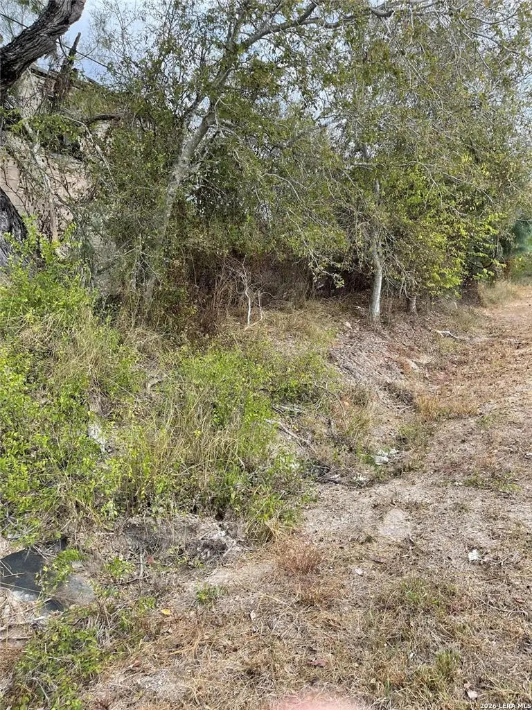 00 N Hwy 37 Access, Three Rivers, TX 78071 - #2
