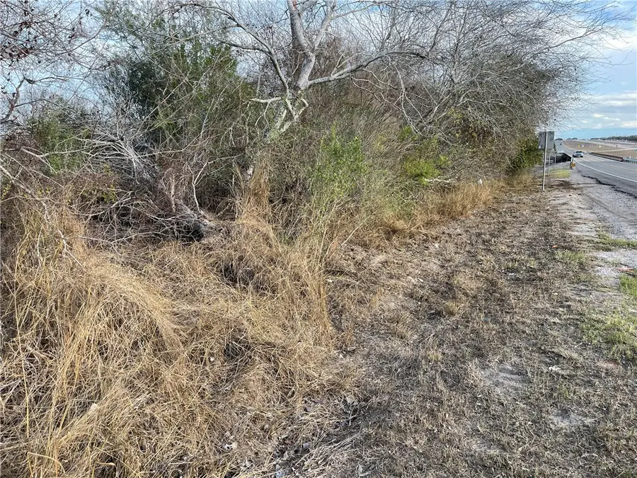 00 N Hwy 37 Access, Three Rivers, TX 78071 - #3