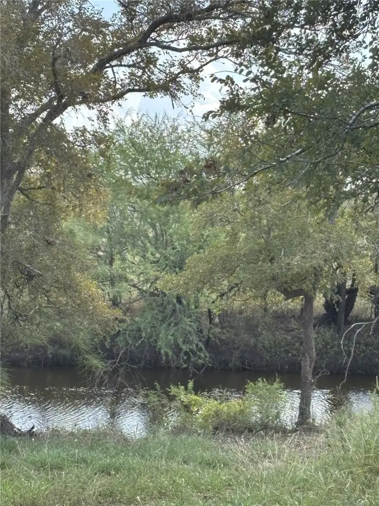 252 Mission River Oaks, Woodsboro, TX 78393 - #3
