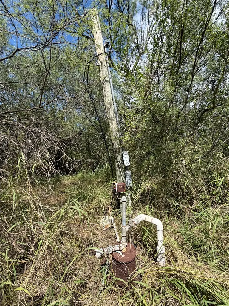 2530 N County Road 1024, Kingsville, TX 78363 - #3