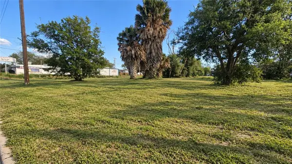 323 E Richard Avenue, Kingsville, TX 78363