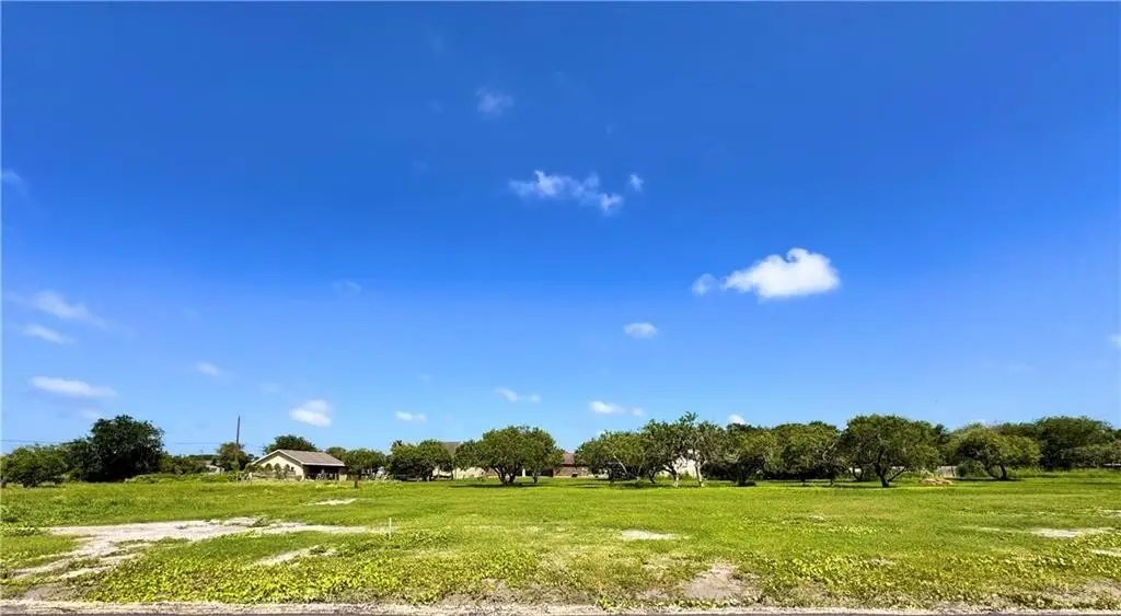 5402 Lula Street, Corpus Christi, TX 78412 - #1