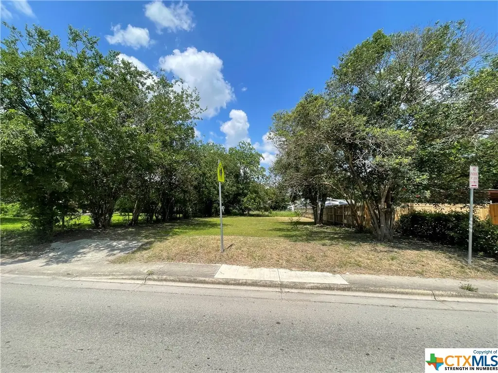 1006 N Guadalupe Street, Seguin, TX 78155 - #1
