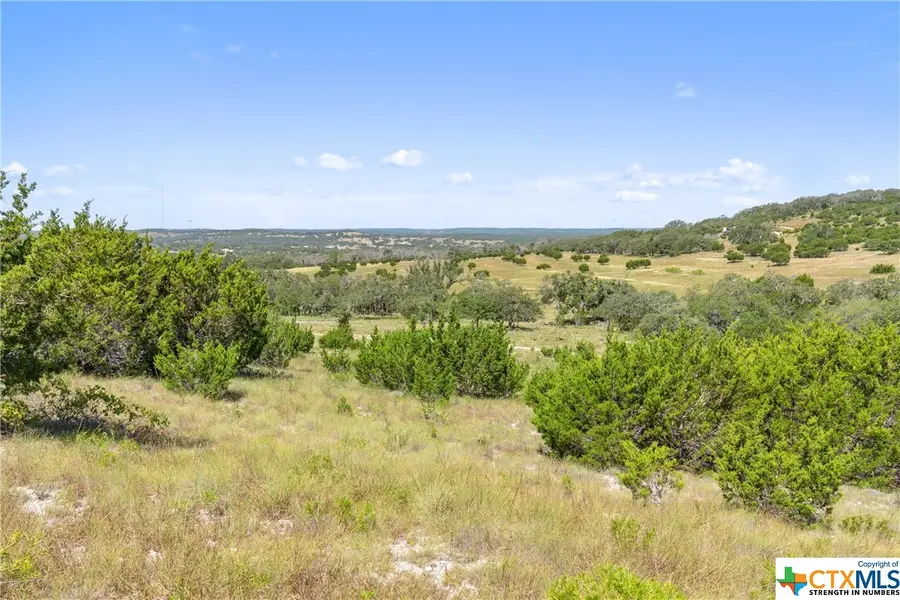 Tract 12 Lewdele Lane, Blanco, TX 78671 - #3