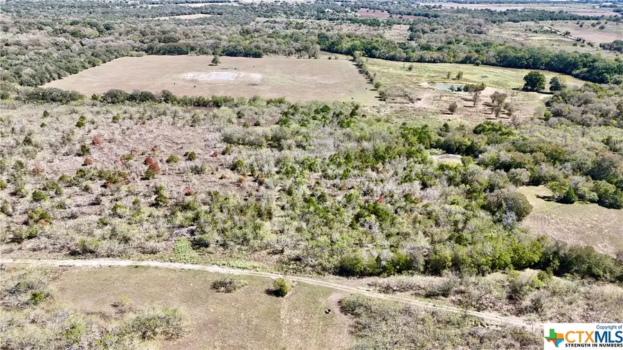 Tract 4 Maynard Hallmark Road, Waelder, TX 78959 - #2