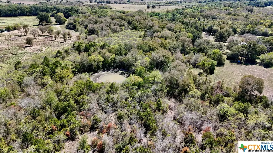 Tract 4 Maynard Hallmark Road, Waelder, TX 78959 - #3