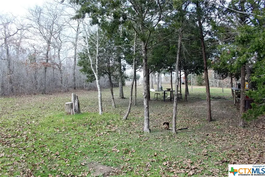 8729 E Fm 20, Dale, TX 78616 - Image #3