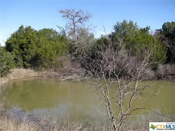 Lot 3 Ph 6 County Road 421, Evant, TX 76525