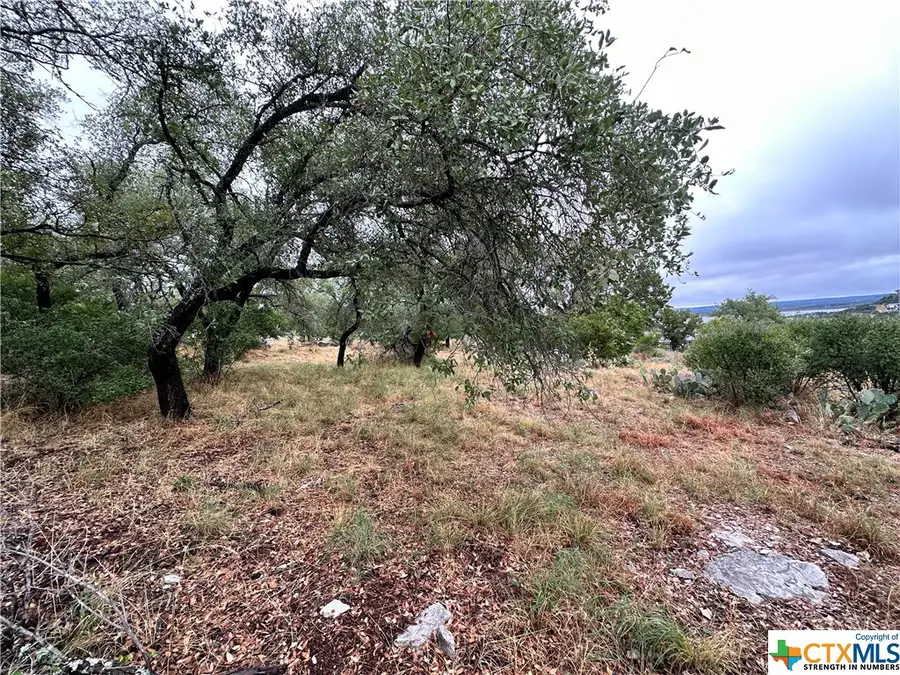 820 Mountain Dew, Horseshoe Bay, TX 78657 - #3