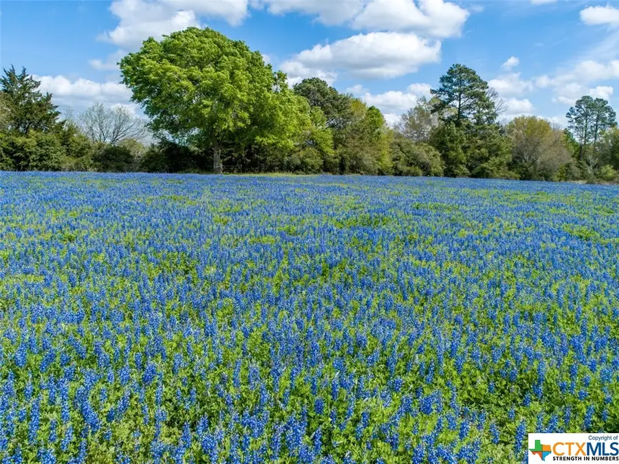 1255 Cr 260, Hallettsville, TX 77964 - #2