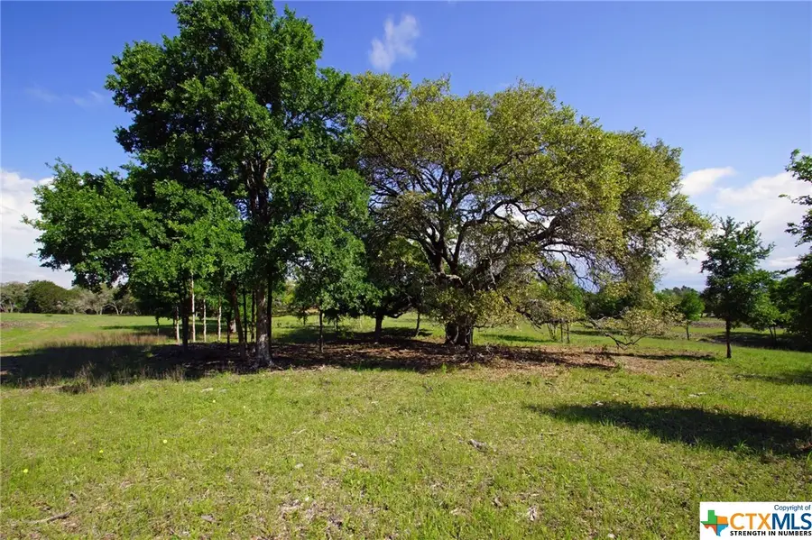Lot 48 Bridget Court, Briggs, TX 78608 - #2