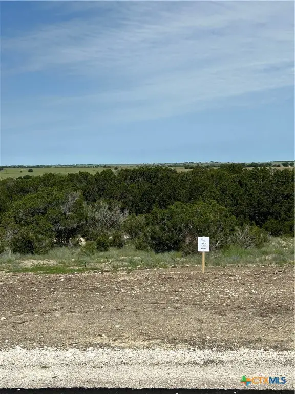 109 Cedar Bluff Loop, Gatesville, TX 76528 - Image #3