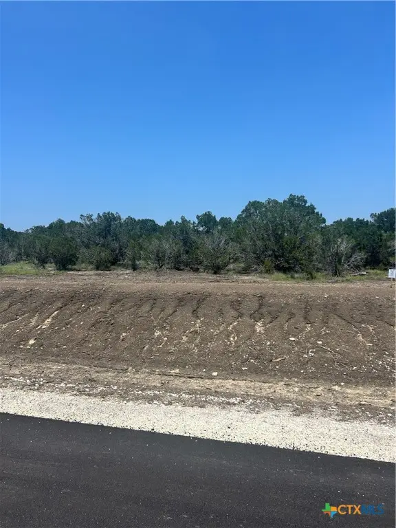 101 Cedar Hill Drive, Gatesville, TX 76528 - Image #3