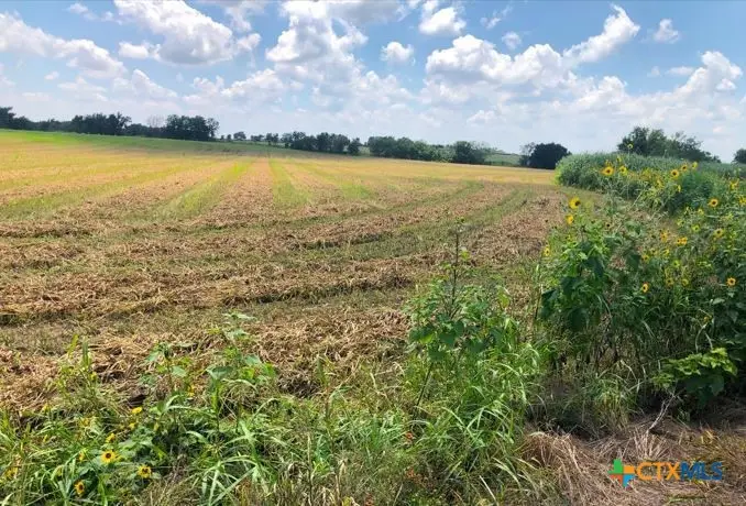 TBD Cr 421, Thrall, TX 76578 - Image #3