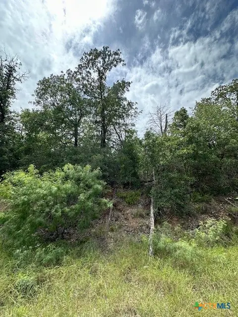 0 Tbd Lot 104 Ripple Brook Dr., Bastrop, TX 78602 - Image #3
