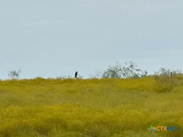 #2
