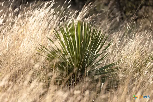 TBD W Rr 962, Round Mountain, TX 78663