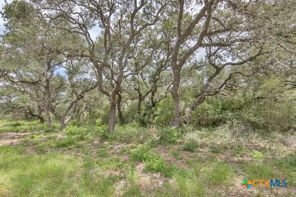 Tract 12 Pr 4061, Edna, TX 77957 - #2