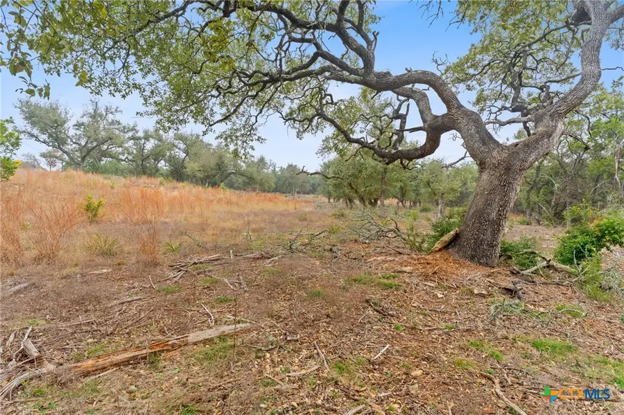 301 Lonesome Trail, Driftwood, TX 78619 - #3