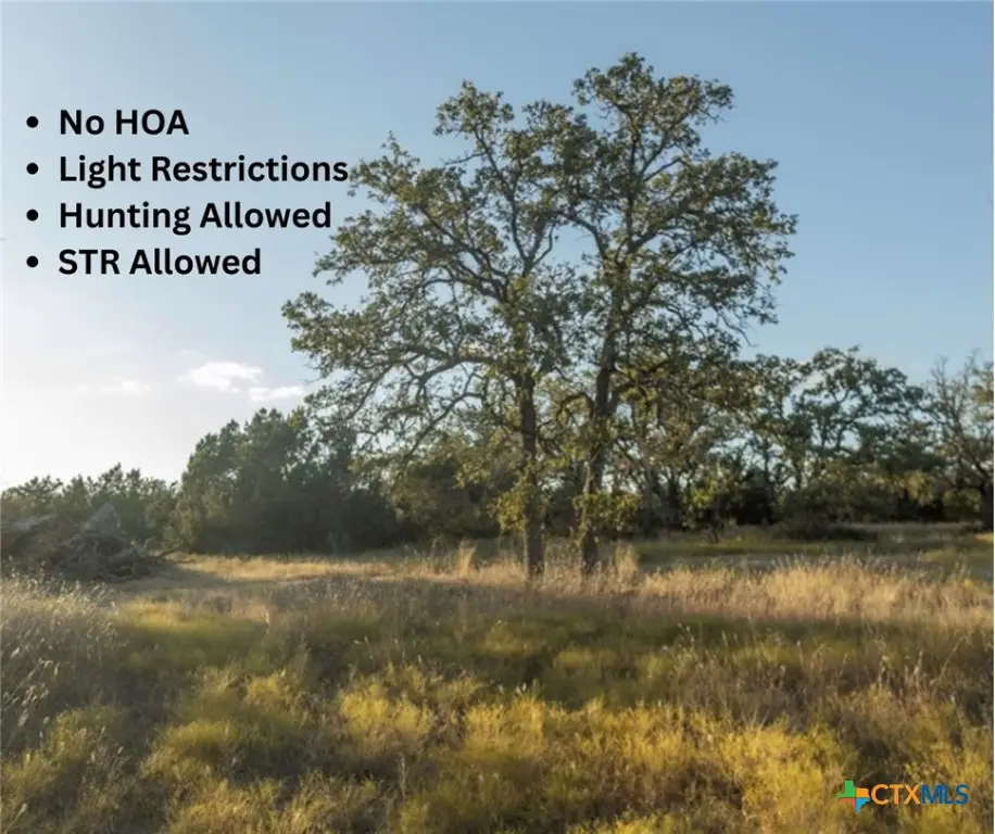 18.145 Acres Herber-schaefer Road, Fredericksburg, TX 78624 - #1