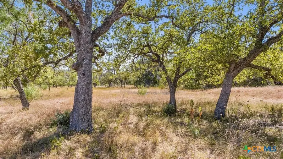 18.145 Acres Herber-schaefer Road, Fredericksburg, TX 78624 - #3