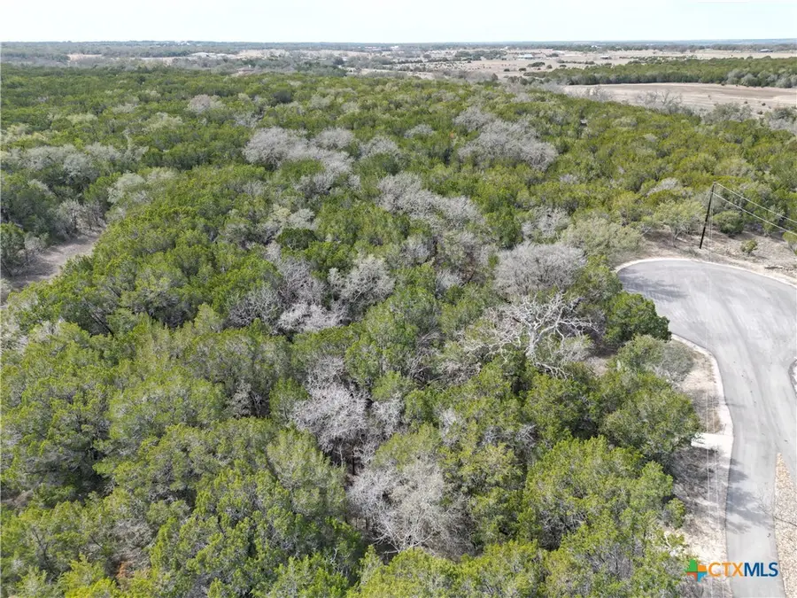 Lot 14 Edwards Court, Bertram, TX 78605 - Image #3