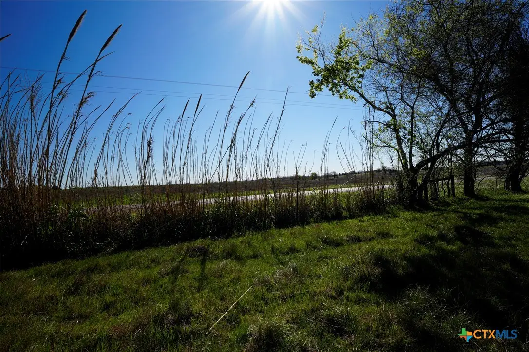 TR 3 1011 Fm 956, Schulenburg, TX 78956 - #1