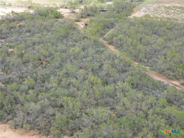 9538 Fm 1333, Charlotte, TX 78011